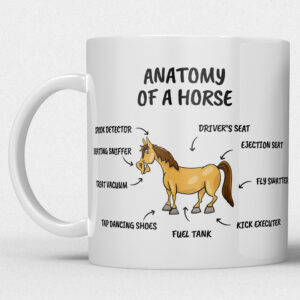 Mok – Anatomy of a Horse