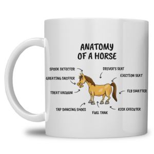 Mok – Anatomy of a Horse